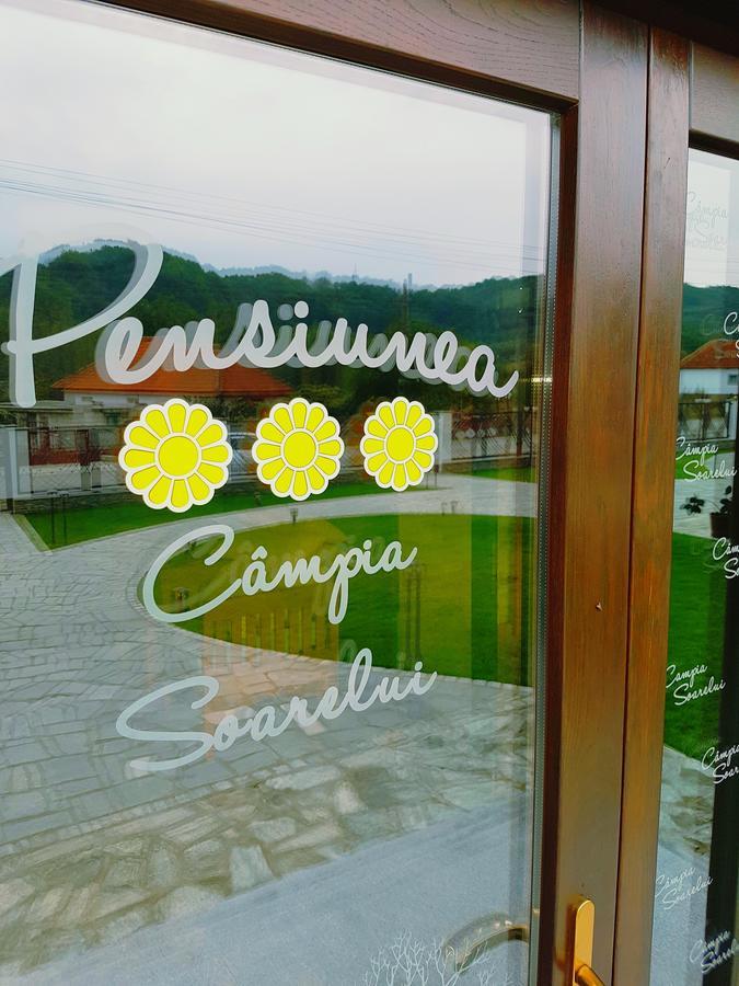 Pensiunea Campia Soarelui Apa Neagra Экстерьер фото